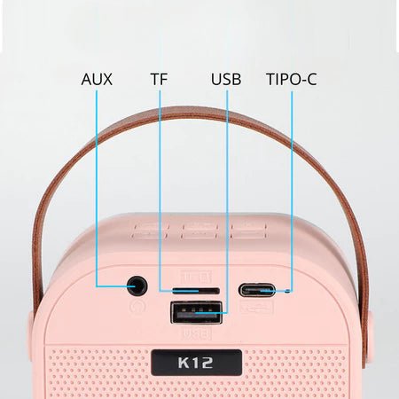 Portable Wireless Karaoke with RGB LED Lights
